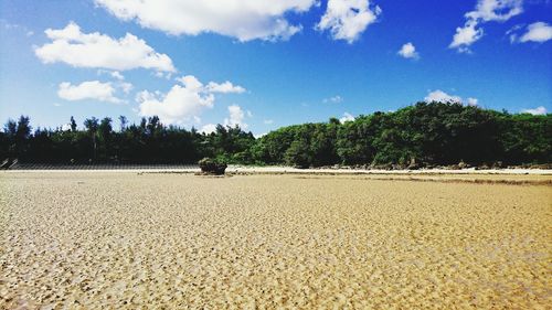 Scenic view of beach