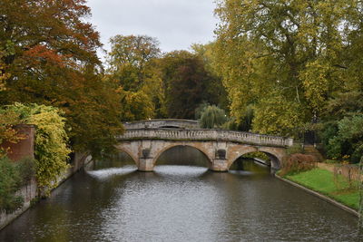 Arch bridge over river amidst trees during autumn