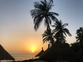 Silhouette palm trees on beach against sky during sunset