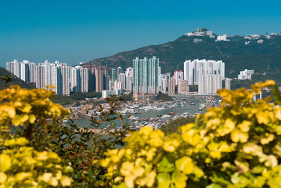 Aberdeen area, hong kong, china,  - tall apartment buildings at the south side of hong kong island.