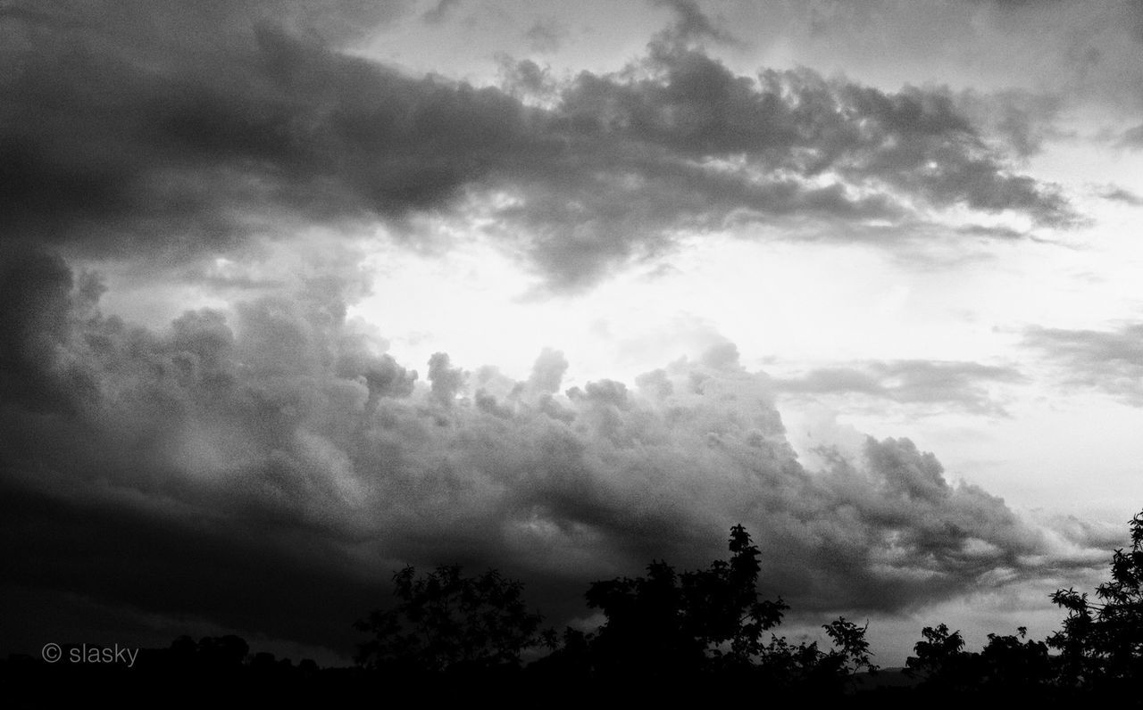 silhouette, sky, low angle view, cloud - sky, tree, cloudy, weather, building exterior, built structure, cloud, overcast, nature, architecture, beauty in nature, dusk, high section, scenics, storm cloud, outdoors, tranquility