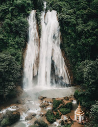 Scenic view of waterfall in forest