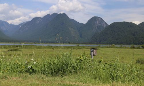 Scenic view of field against mountains