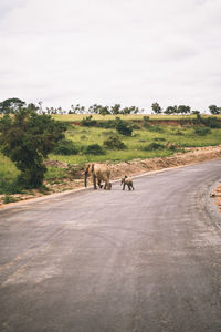 road