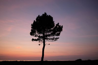 Silhouette tree on field against sky at sunset