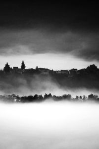 Scenic view of trees on landscape against sky