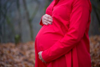 Pregnancy. 