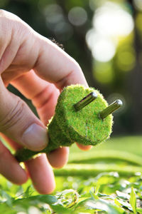 Close-up of hand holding grass