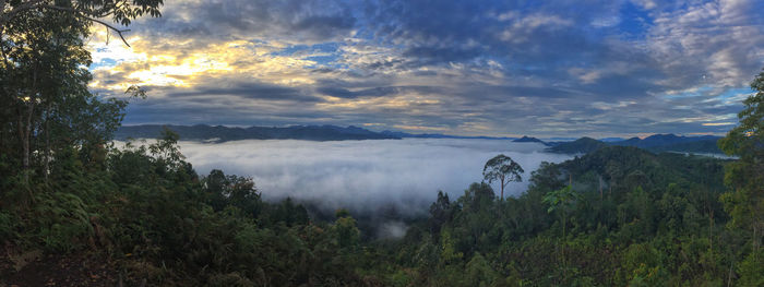 Scenic view of trees and mountains against sky