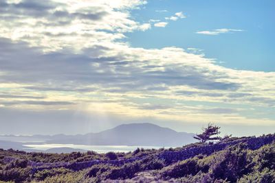 Scenic view of landscape against sky