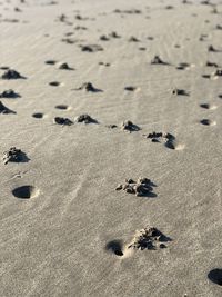 High angle view of footprints on sand at beach