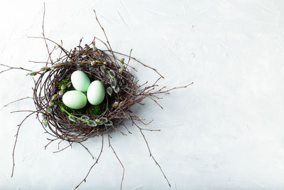 High angle view of eggs in nest