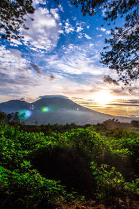 Scenic view of landscape against sky during sunset