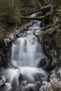 Scenic view of waterfall in forest