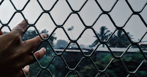 Close-up of hand holding chainlink fence during rainy season