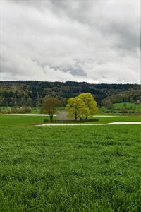 Scenic view of grassy field against cloudy sky