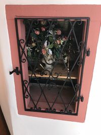 High angle view of potted plants on window