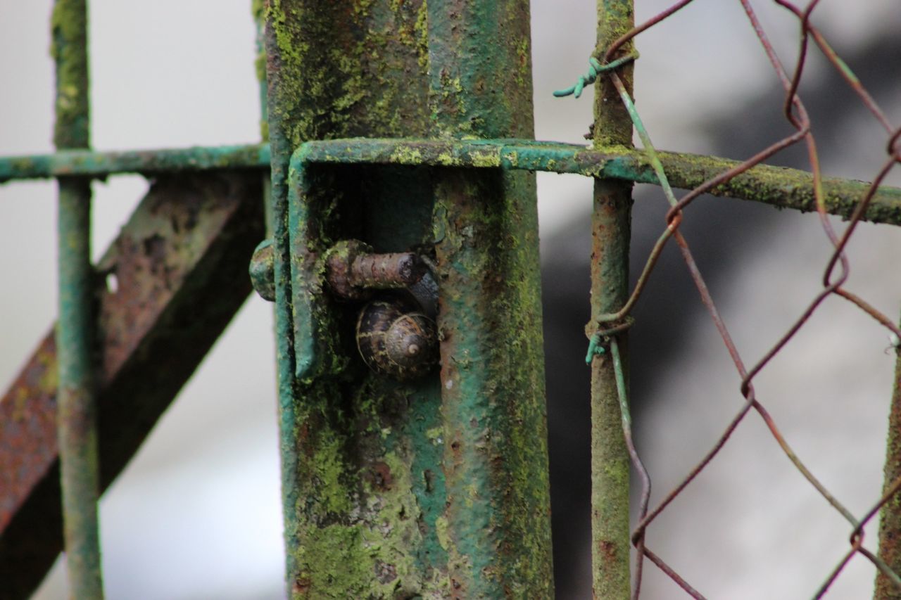 metal, protection, safety, metallic, focus on foreground, fence, security, close-up, rusty, chainlink fence, padlock, day, railing, outdoors, weathered, chain, no people, old, pattern, iron - metal