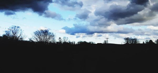 Low angle view of silhouette plants against dramatic sky