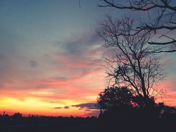 Low angle view of silhouette trees against sky at sunset