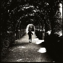 Rear view of woman walking in park