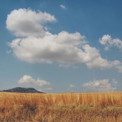 Scenic view of field against cloudy sky