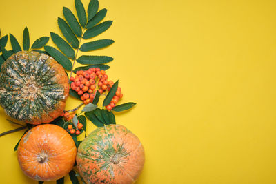 Close-up of orange fruit against yellow background