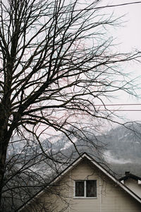 Low angle view of bare tree and building against sky