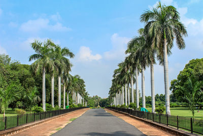 Road amidst palm trees against sky