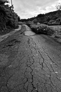 Road amidst trees against sky