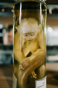 Close-up of drink in glass on table