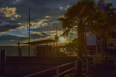 Palm trees against sky during sunset
