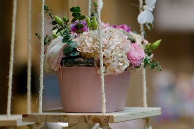 Close-up of pink flowers on table