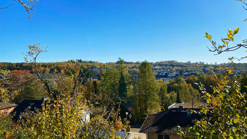 Scenic view of plants and buildings against blue sky