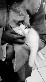 Close-up of man with cat sitting on hand