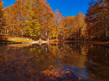 Scenic view of lake against sky during autumn