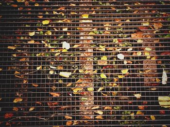 Full frame shot of brick wall