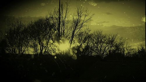 Silhouette trees in forest against sky at night