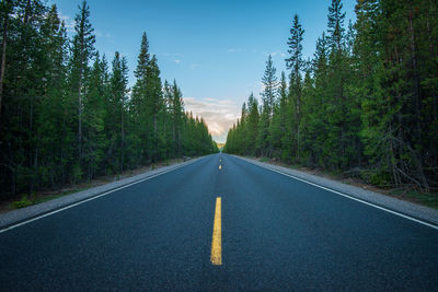 Cascade lakes highway oregon diminishing perspective. empty lane highway through forest