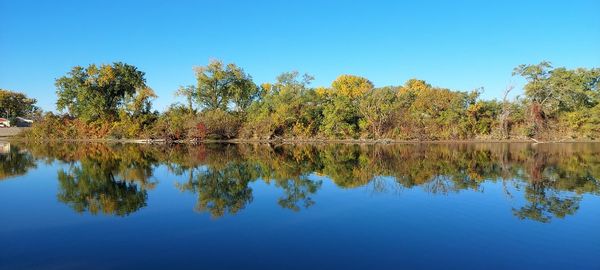 Reflection of trees in lake against blue sky