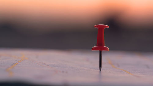 Close-up of wineglass on table against wall