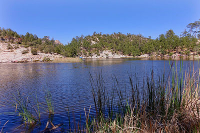 Scenic view of lake against clear sky