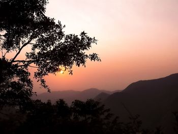 Silhouette trees against sky during sunset