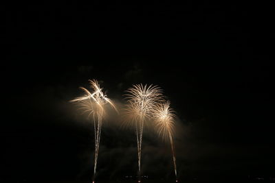 Low angle view of firework display at night