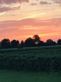 Scenic view of field against sky during sunset