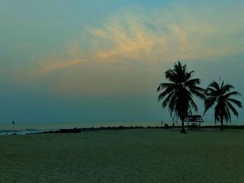 Palm trees on beach against sky during sunset