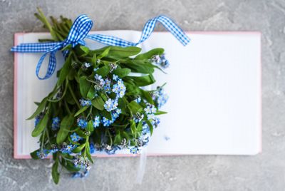 High angle view of white flowers on table