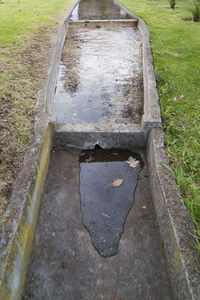 High angle view of footpath in park