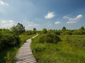 Footpath amidst grass and trees against sky