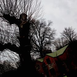 Low angle view of bare trees against sky